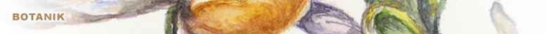 Botanik
